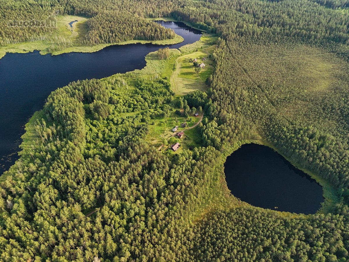 Skubiai Reikalingas Rūpestingas Ežero - nuotraukos Nr. 3