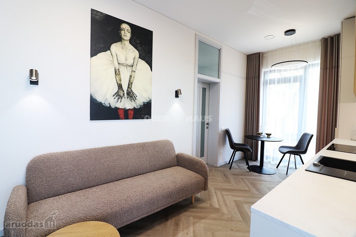Išnuomojamas modernus 2 kambarių butas miesto