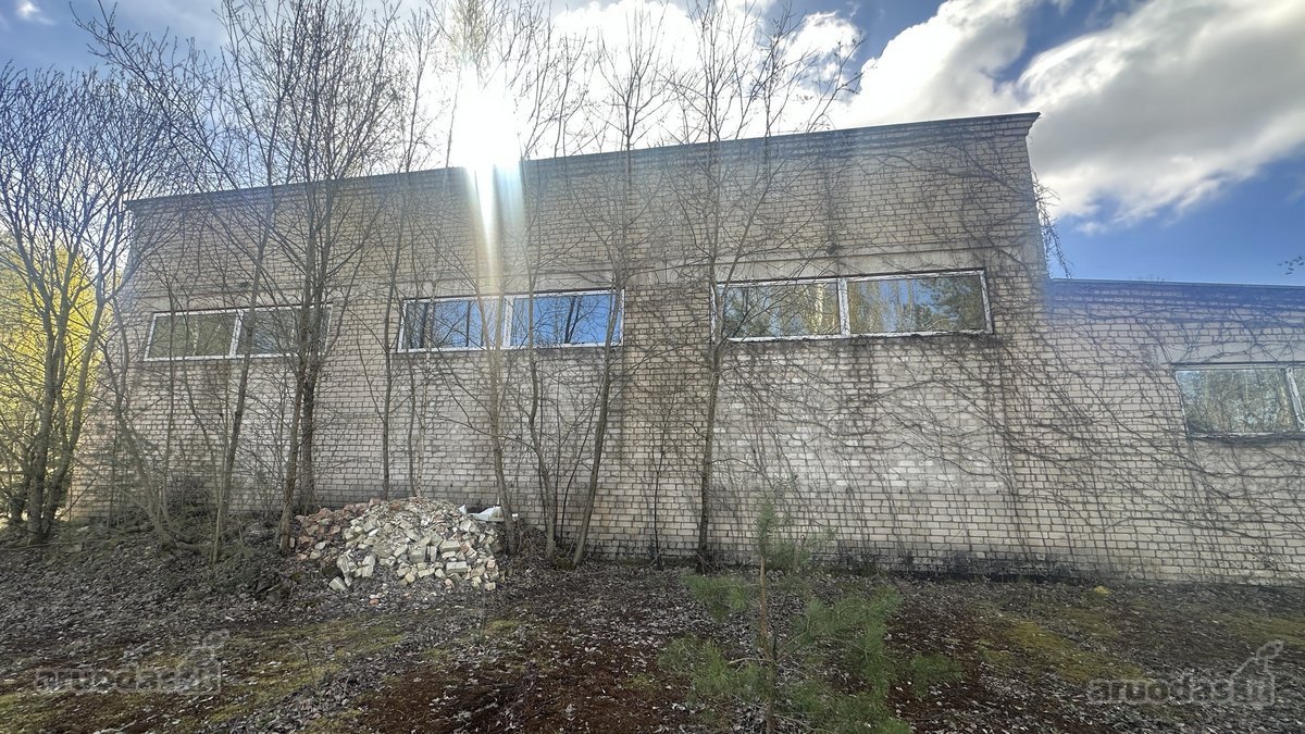 Nuomojami 40, 60, 100, 200, 300, 400, 500, - nuotraukos Nr. 3