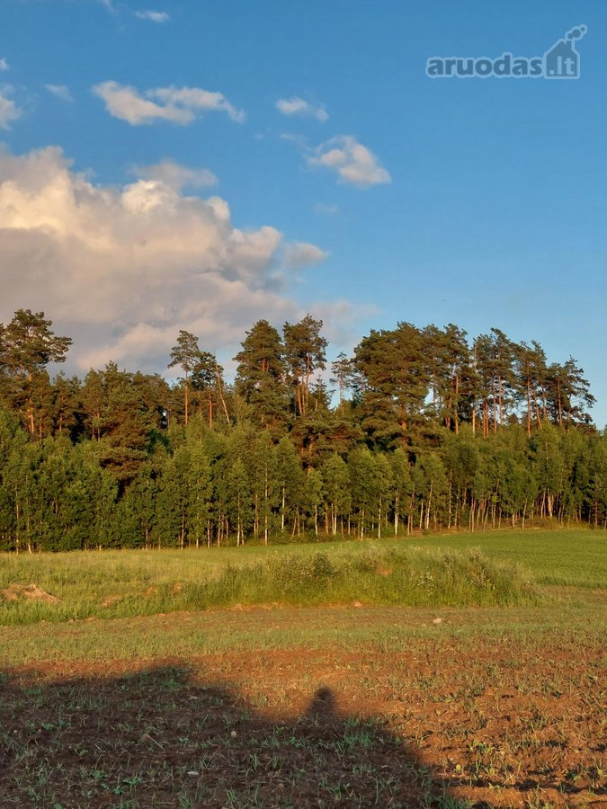 Šalia Trakų miesto, labai gražioje, ramioje