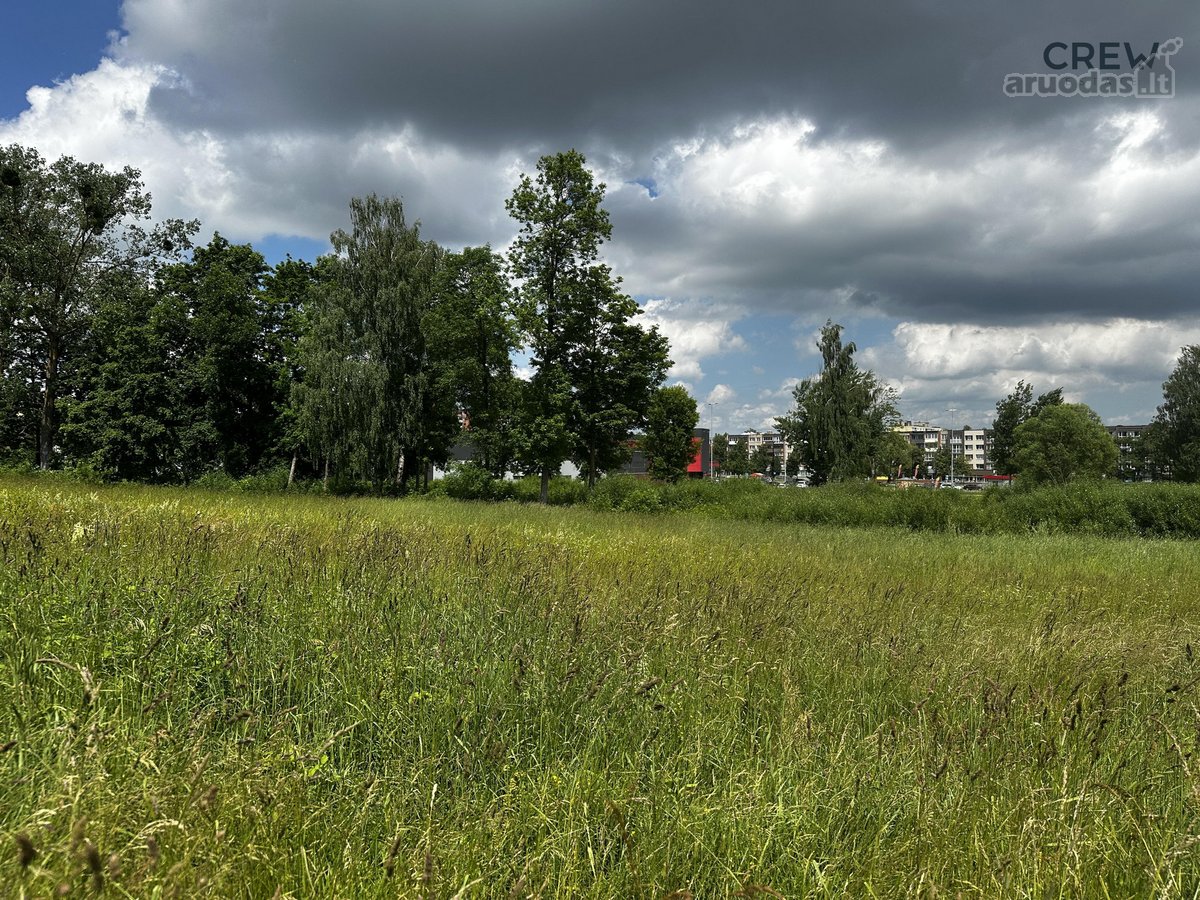 Investicijai trys greta esantys sklypai - nuotraukos Nr. 9