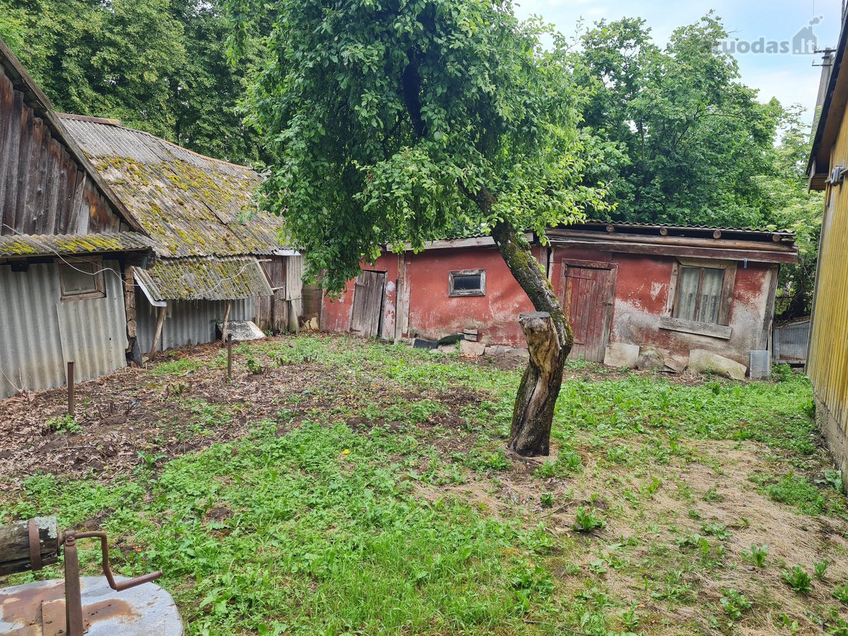 Sodyba poilsiui prie Buktos - nuotraukos Nr. 7