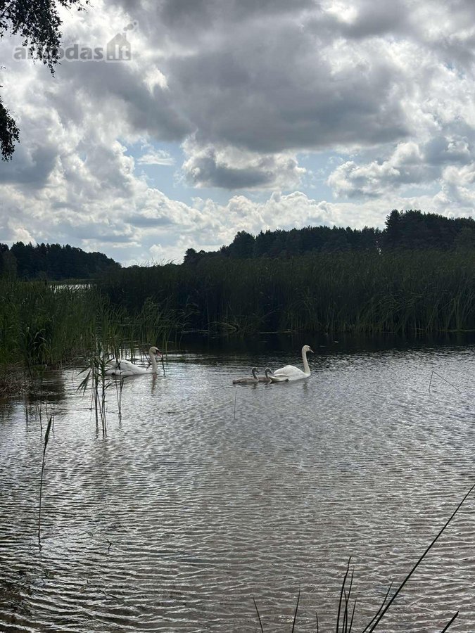 Parduodamas visas 6 sklypų kvartalas su - nuotraukos Nr. 15