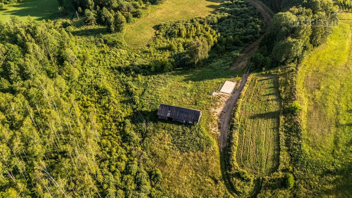 Merkinės sen. Papiškių k.du sklypai vienas - nuotraukos Nr. 29