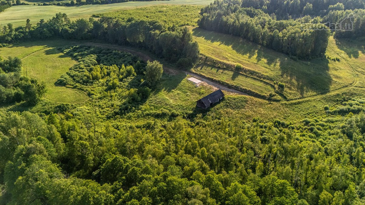 Merkinės sen. Papiškių k.du sklypai vienas - nuotraukos Nr. 30