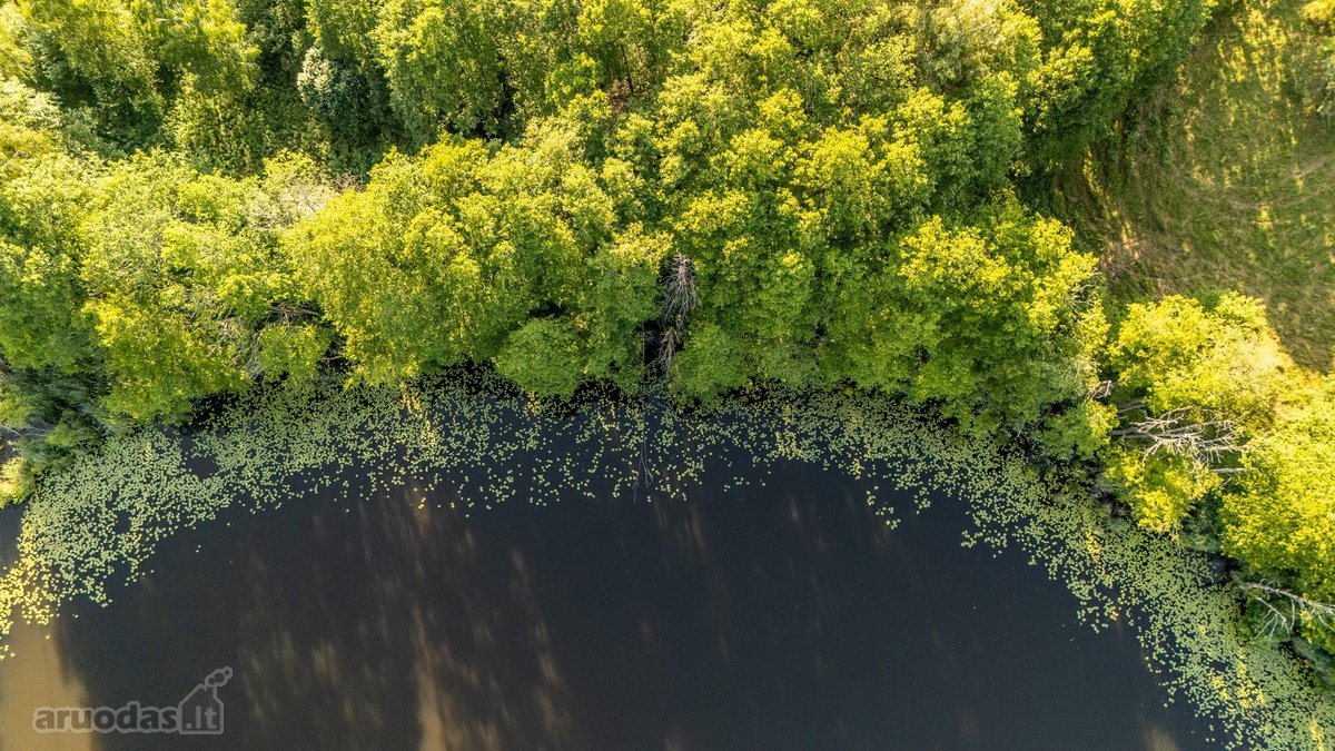 Merkinės sen. Papiškių k.du sklypai vienas - nuotraukos Nr. 32