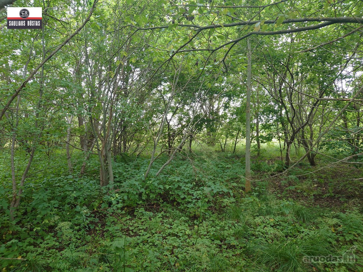 Parduodamas labai pigiai geroje vietoje 5,5 a - nuotraukos Nr. 17