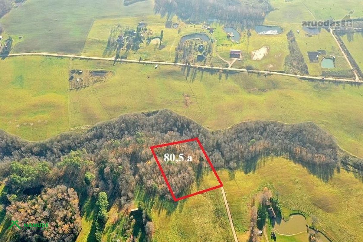 Parduodamas erdvus 80,5 arų žemės sklypas