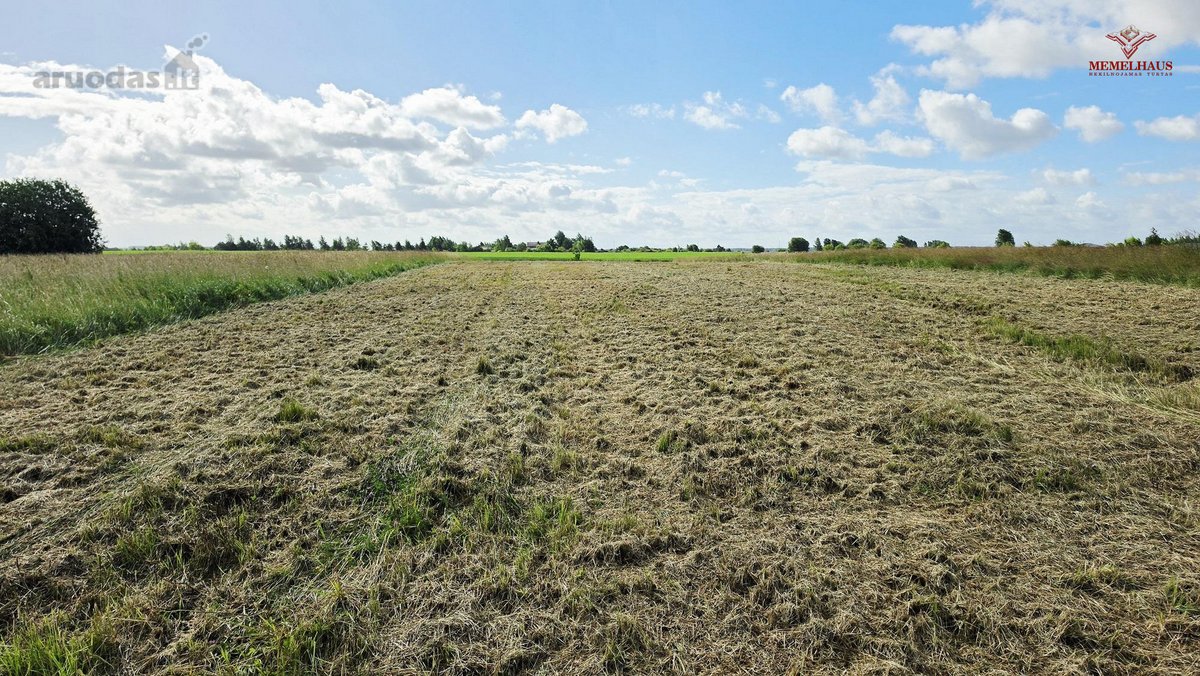 ? Parduodamas 31 A Sklypas Martinų K. – Rami