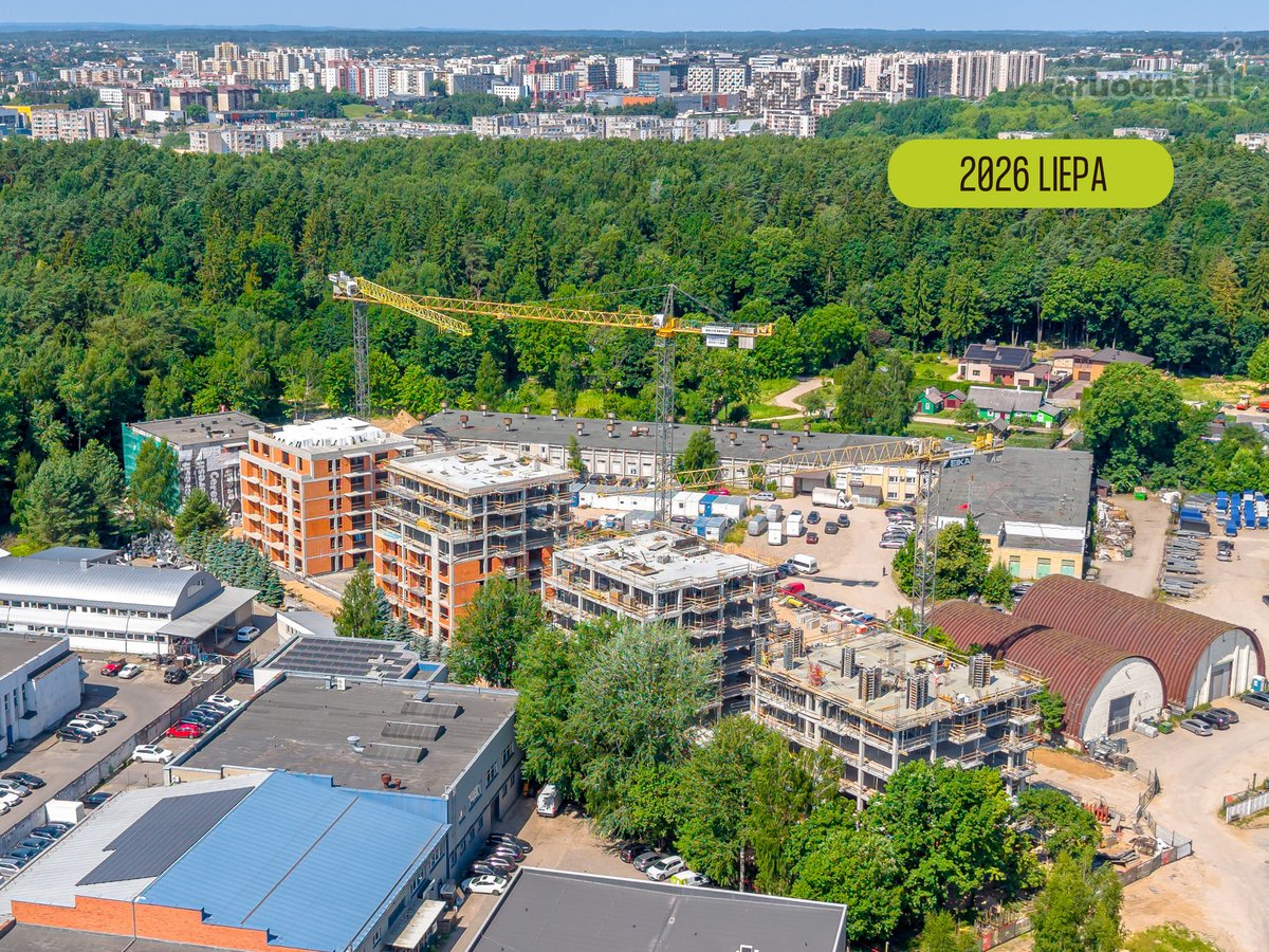 „Miško sprintas“ – tai namai, kuriuose