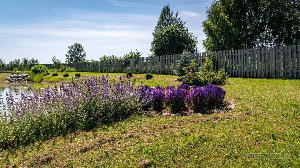 Parduodamas kruopščiai prižiūrimas ir - nuotraukos Nr. 9