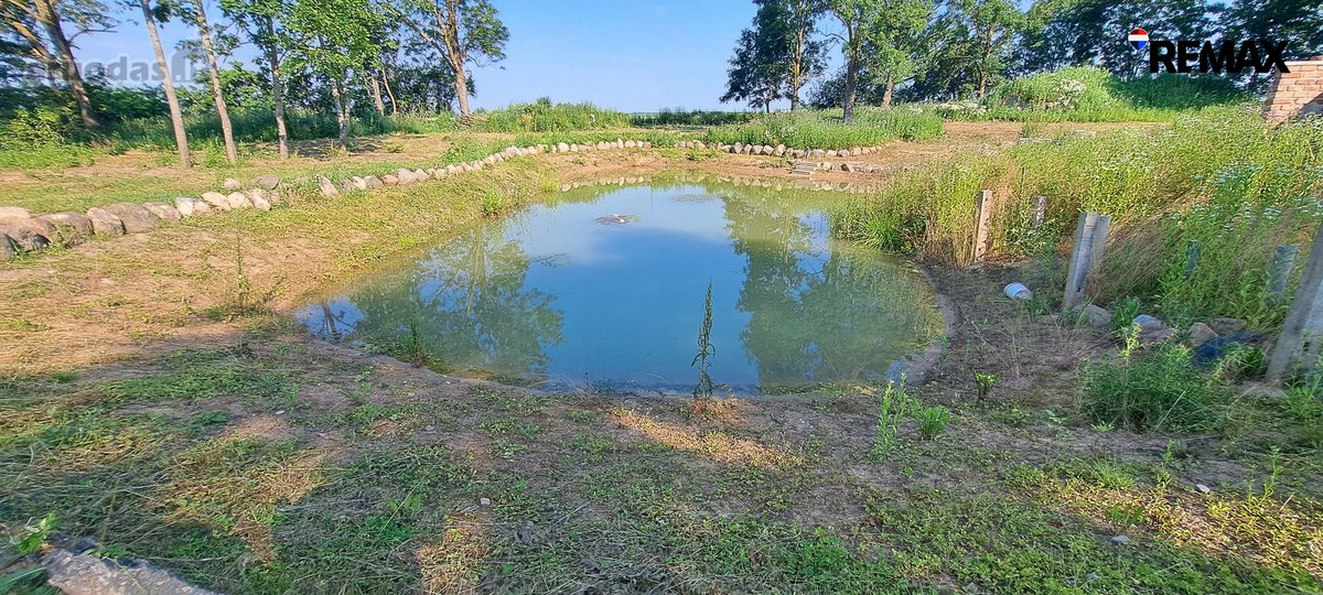 Parduodamas erdvus namų valdos sklypas - nuotraukos Nr. 16
