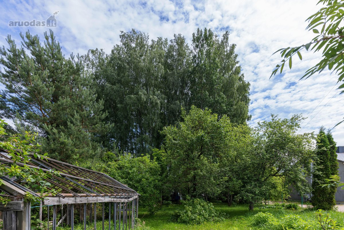 Parduodamas likvidus, investicinis sodo