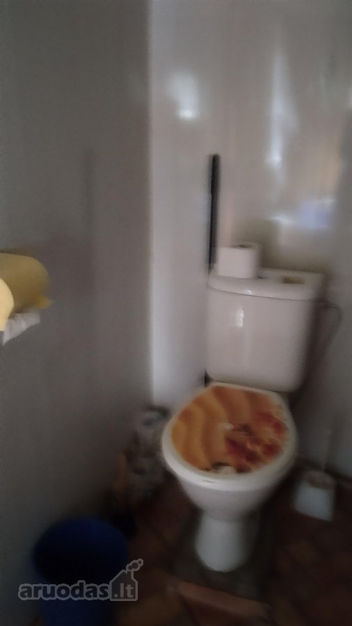 Sodyba randasi Jurbarko raj.skirsnemunes šen - nuotraukos Nr. 3