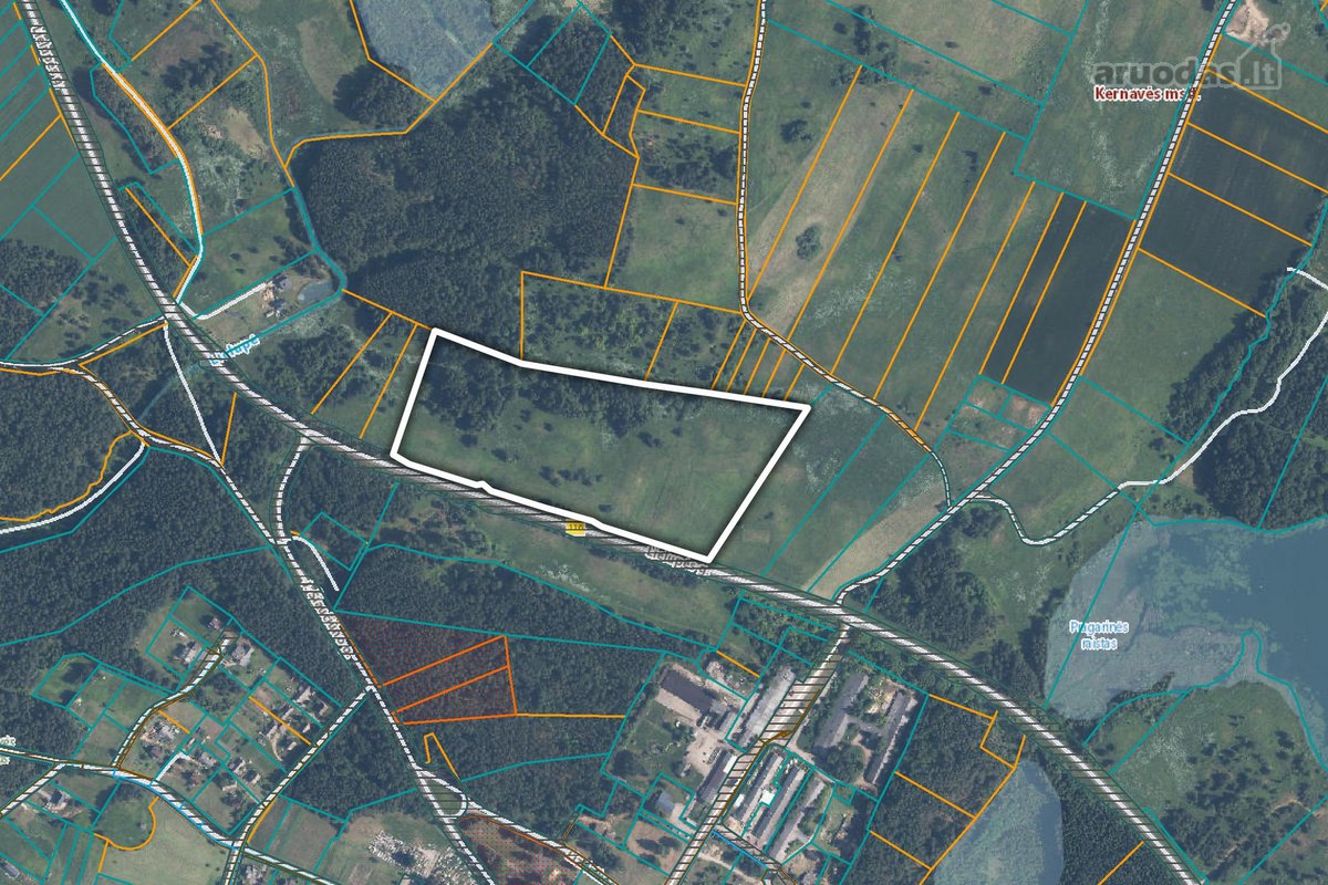 Parduodamas 6,6 ha žemės sklypas su mišku - nuotraukos Nr. 5