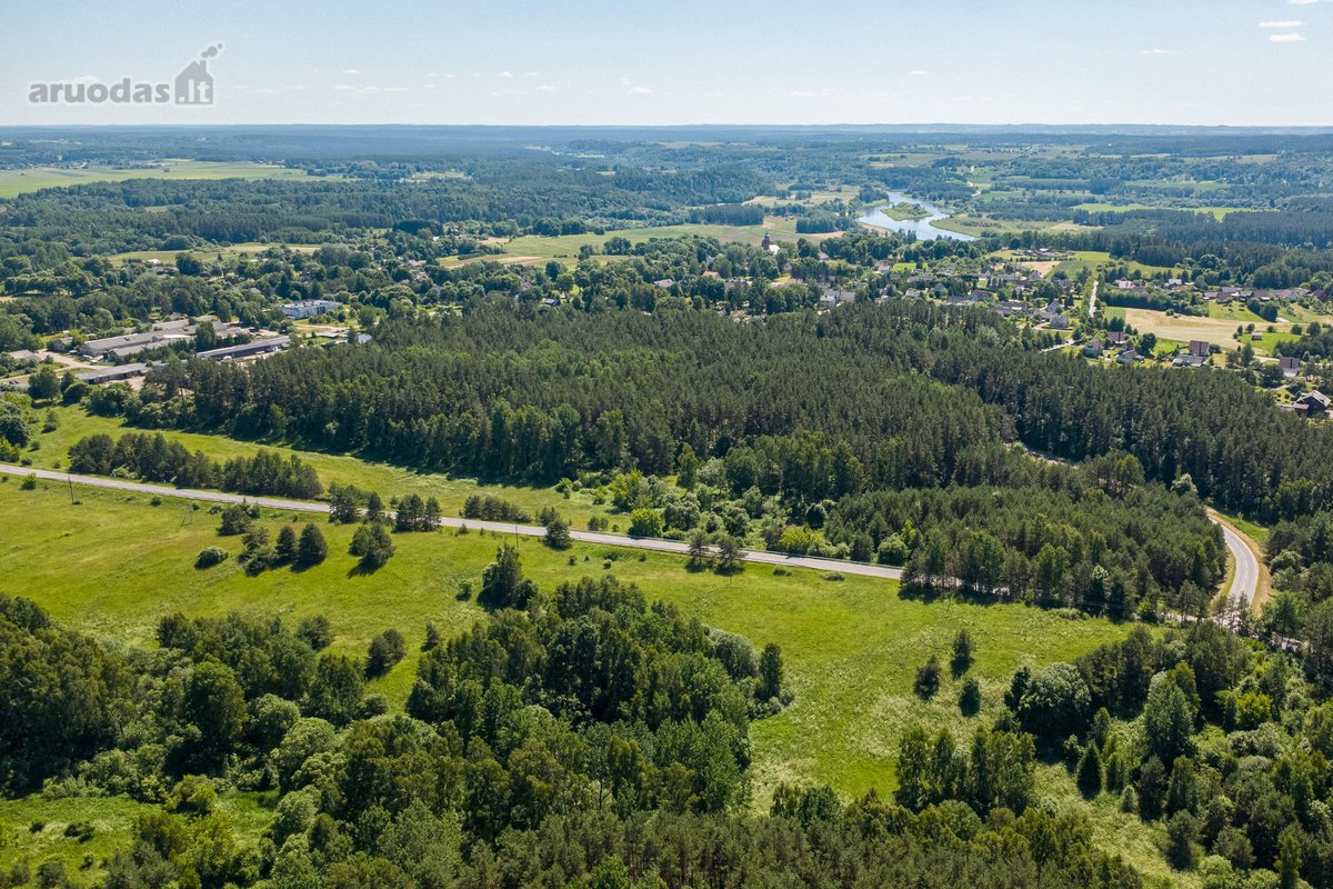 Parduodamas 6,6 ha žemės sklypas su mišku - nuotraukos Nr. 7