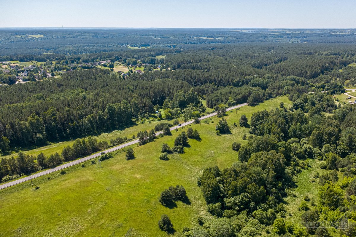 Parduodamas 6,6 ha žemės sklypas su mišku - nuotraukos Nr. 8