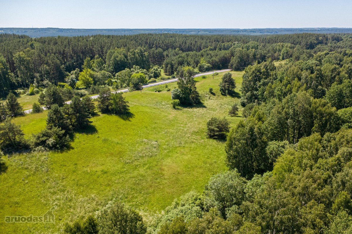 Parduodamas 6,6 ha žemės sklypas su mišku - nuotraukos Nr. 9