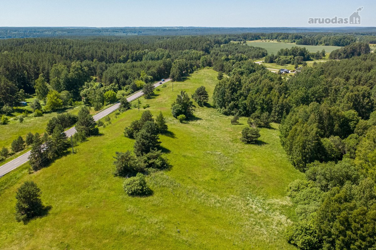 Parduodamas 6,6 ha žemės sklypas su mišku - nuotraukos Nr. 10