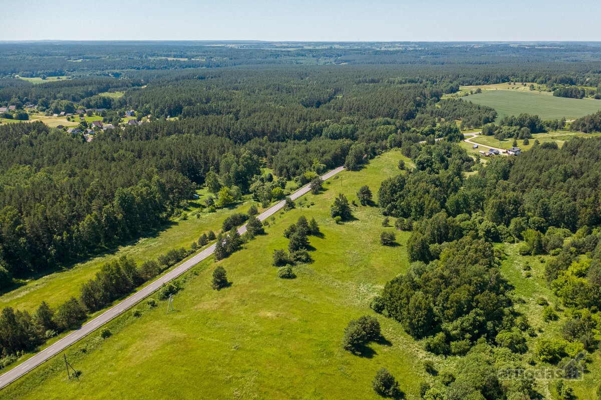 Parduodamas 6,6 ha žemės sklypas su mišku - nuotraukos Nr. 11