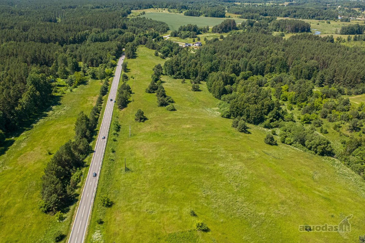 Parduodamas 6,6 ha žemės sklypas su mišku - nuotraukos Nr. 12