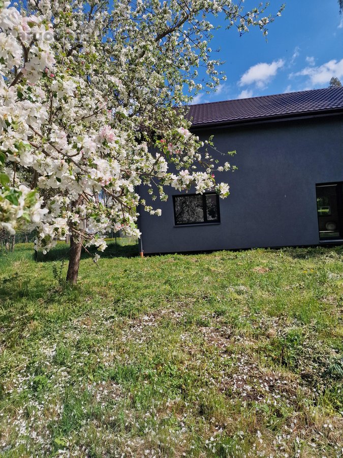 Namas projektuotas ir statytas gyventi savo - nuotraukos Nr. 2