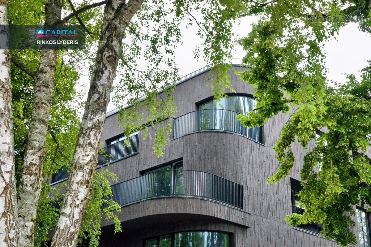 Pačiame Birštono Centre, Jaunimo Gatvėje,