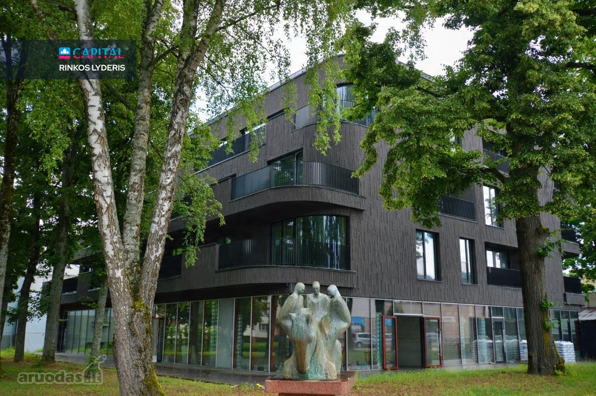 Pačiame Birštono Centre, Jaunimo Gatvėje, - nuotraukos Nr. 3