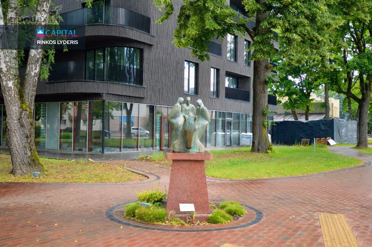 Pačiame Birštono Centre, Jaunimo Gatvėje, - nuotraukos Nr. 4