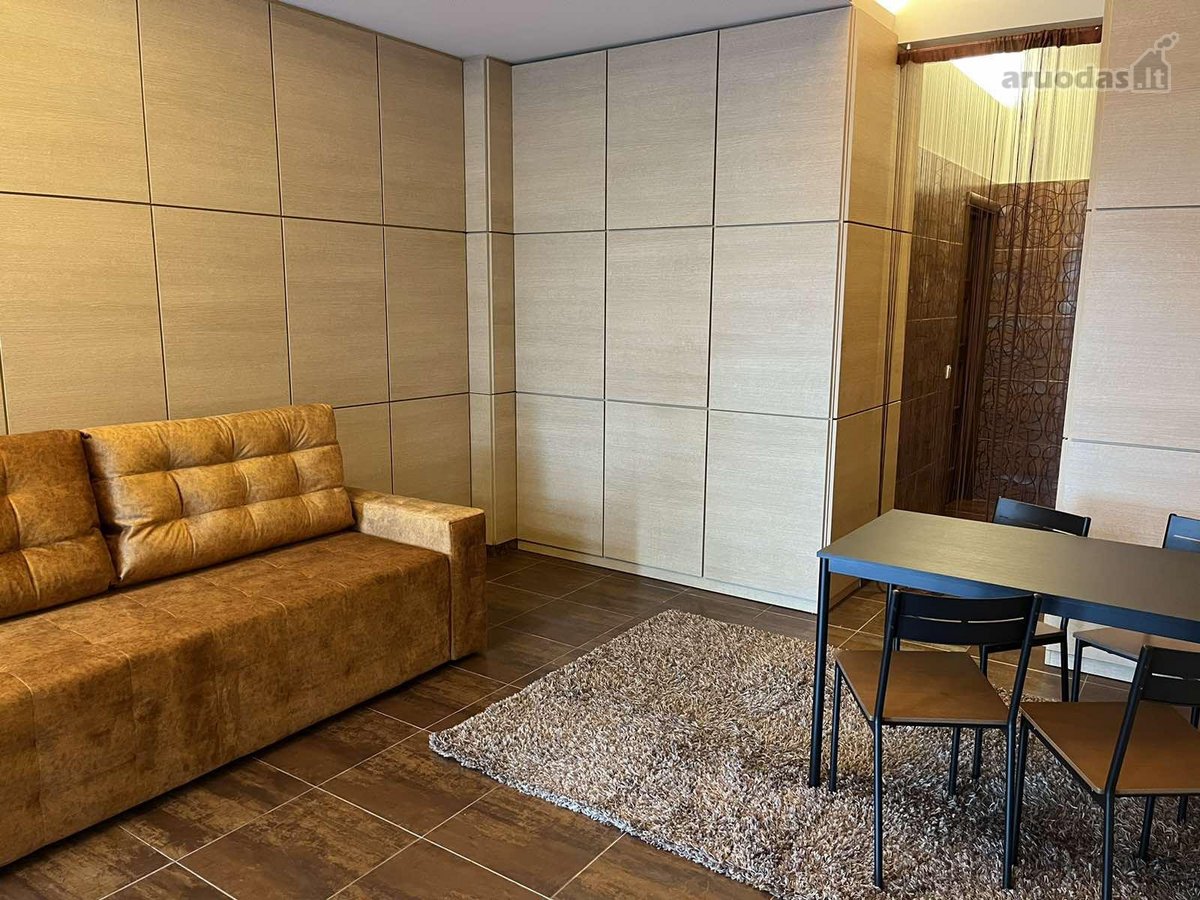 Stilingas ir ekonomiškas loftas-studija su