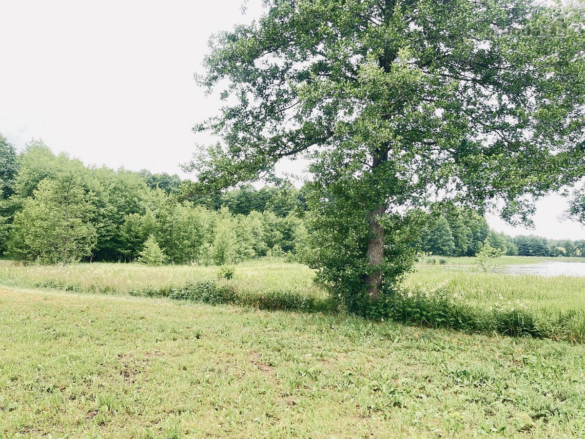 Parduodamas 72,26 arų žemės ūkio paskirties - nuotraukos Nr. 3