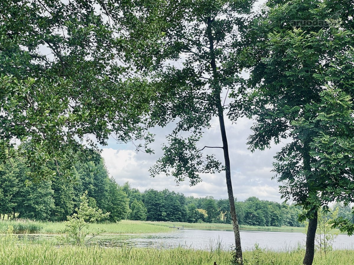 Parduodamas 72,26 arų žemės ūkio paskirties - nuotraukos Nr. 6