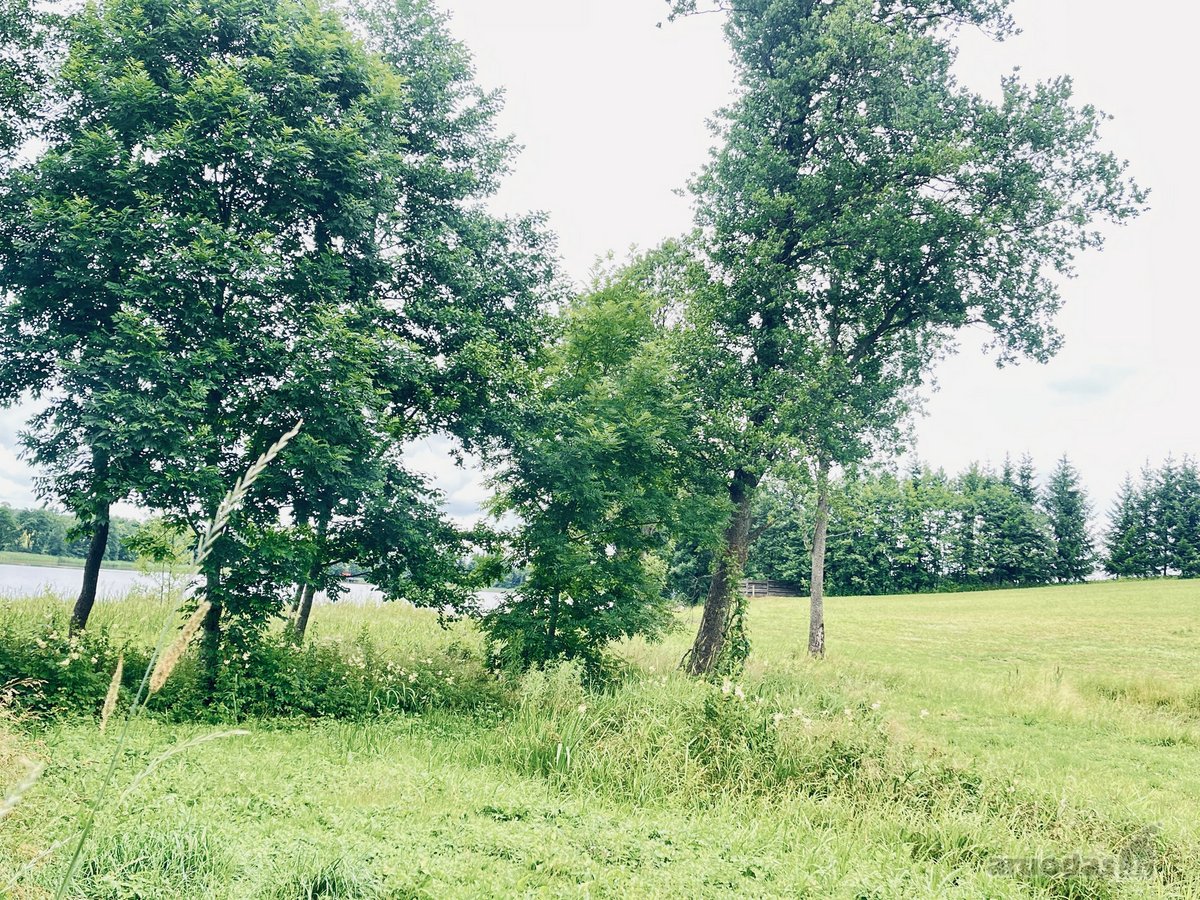 Parduodamas 72,26 arų žemės ūkio paskirties - nuotraukos Nr. 7