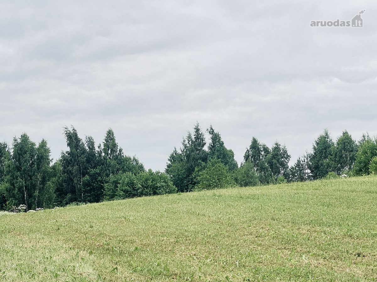 Parduodamas 72,26 arų žemės ūkio paskirties - nuotraukos Nr. 9