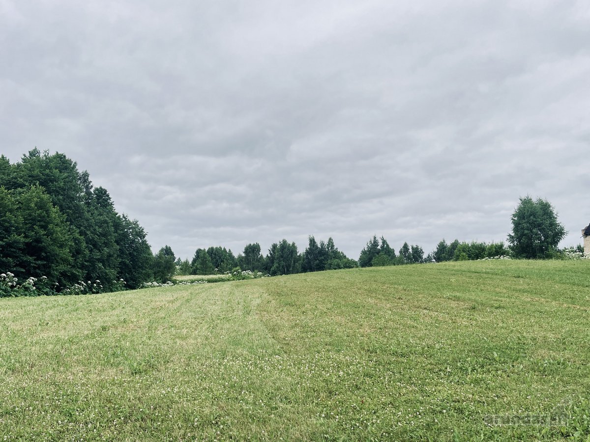 Parduodamas 72,26 arų žemės ūkio paskirties - nuotraukos Nr. 14