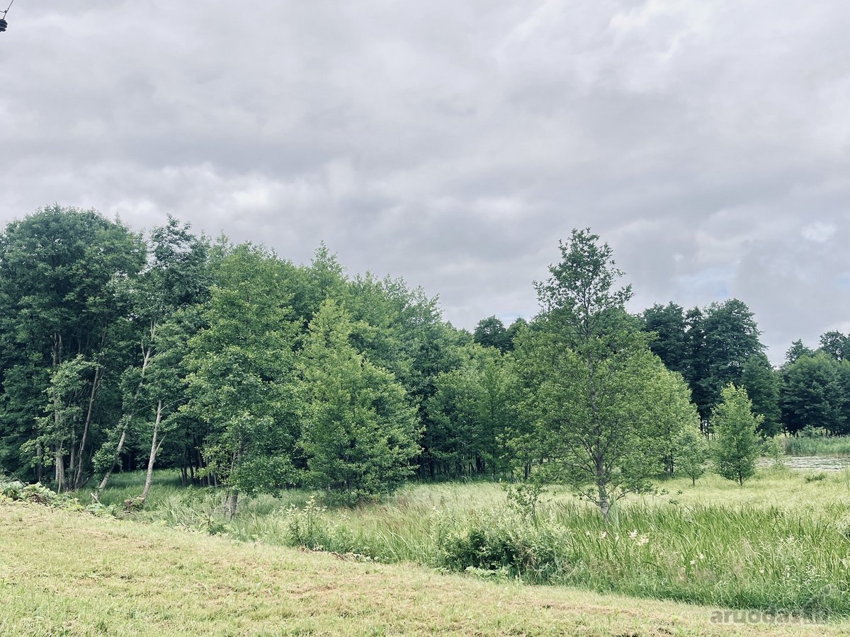 Parduodamas 72,26 arų žemės ūkio paskirties - nuotraukos Nr. 16