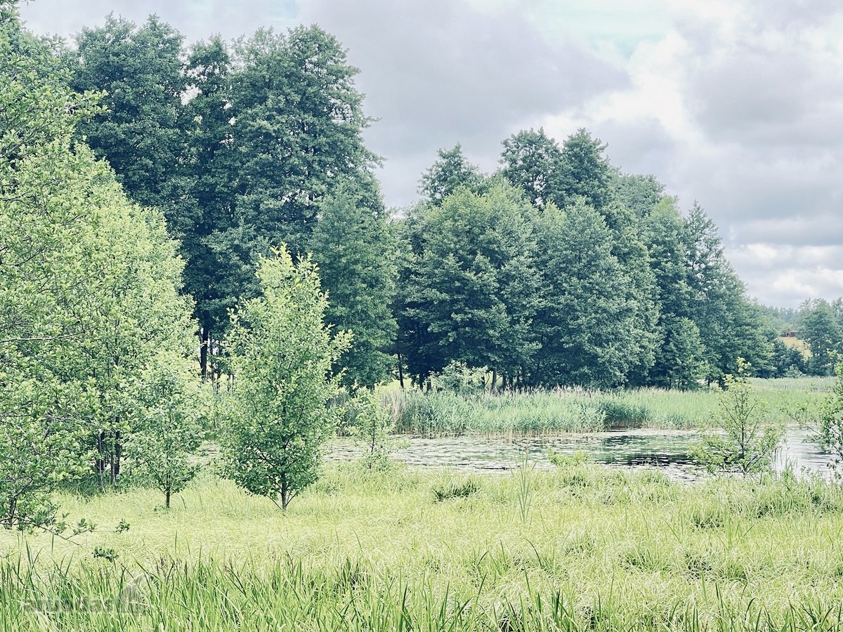 Parduodamas 72,26 arų žemės ūkio paskirties - nuotraukos Nr. 17