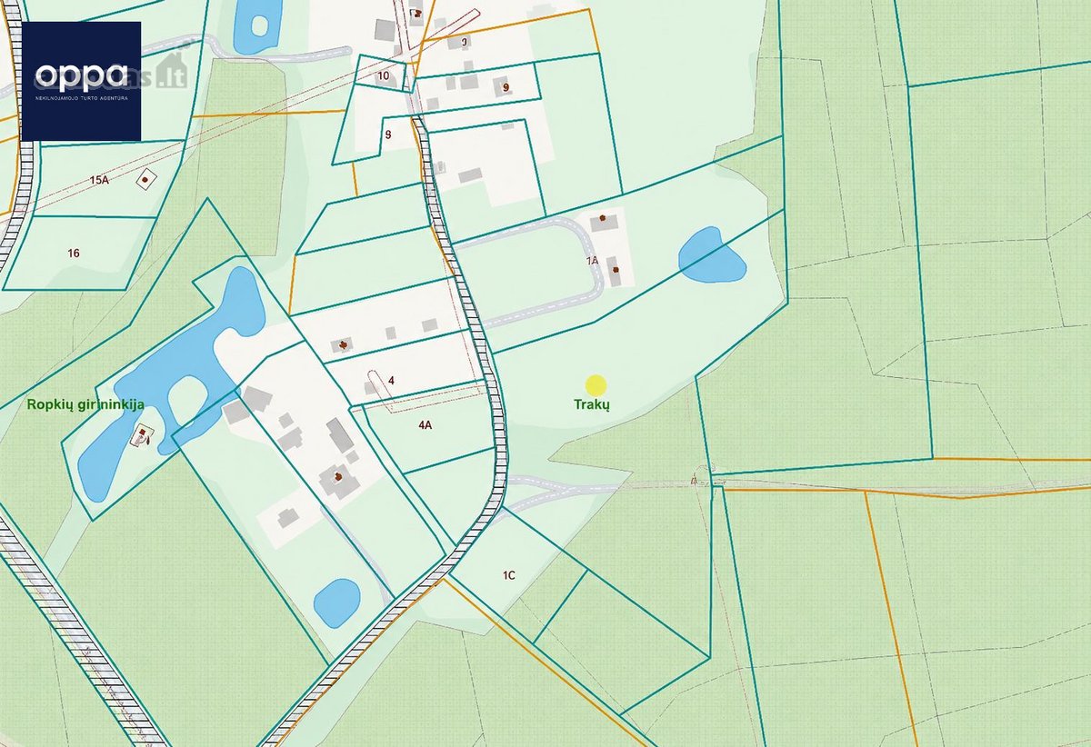 Parduodamas 1,60 Ha Žemės Ūkio Paskirties - nuotraukos Nr. 7