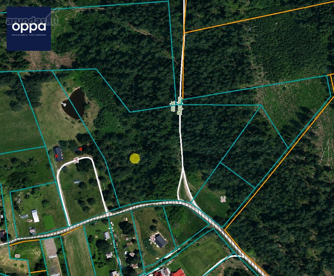 Parduodamas 1,60 Ha Žemės Ūkio Paskirties - nuotraukos Nr. 8