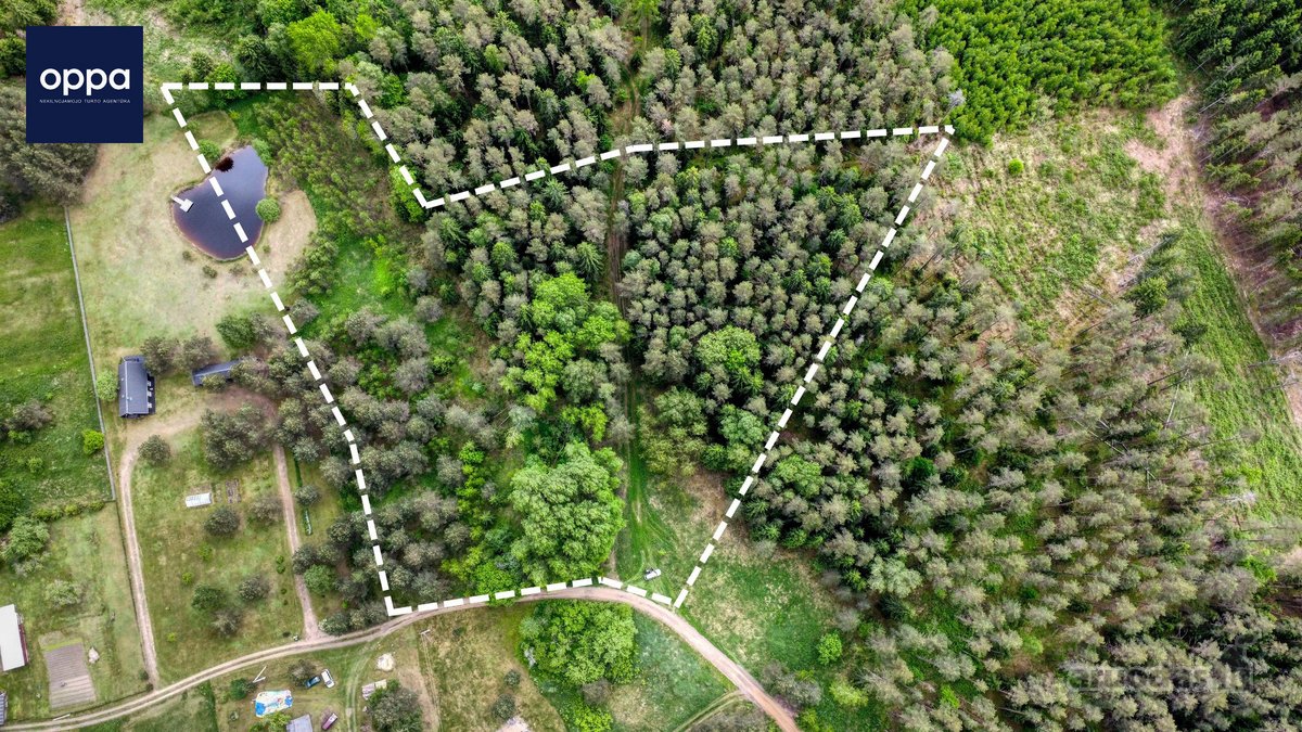 Parduodamas 1,60 Ha Žemės Ūkio Paskirties - nuotraukos Nr. 6