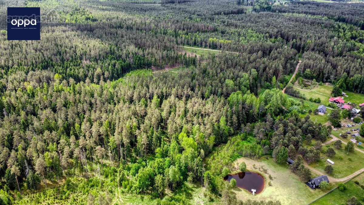 Parduodamas 1,60 Ha Žemės Ūkio Paskirties - nuotraukos Nr. 5