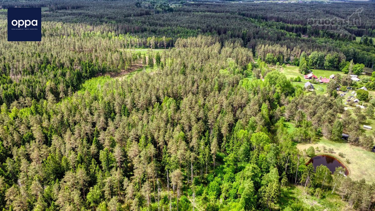 Parduodamas 1,60 Ha Žemės Ūkio Paskirties - nuotraukos Nr. 4
