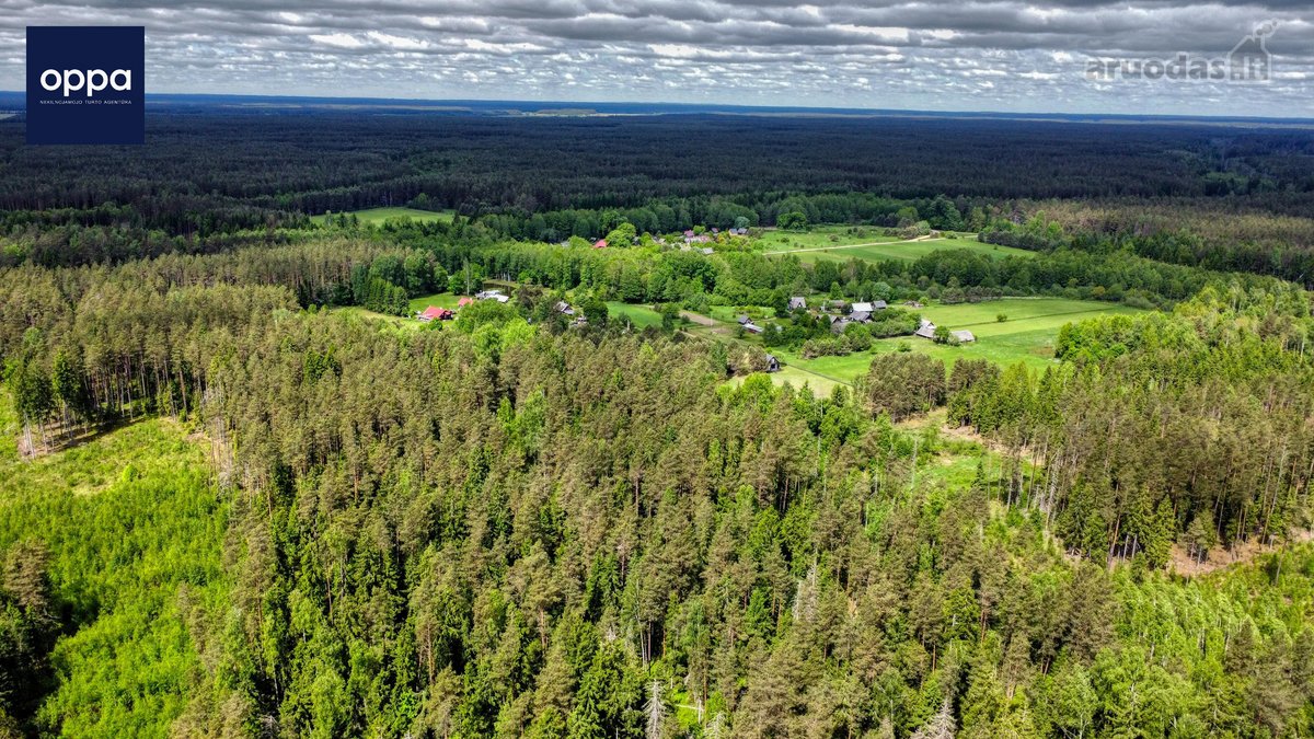 Parduodamas 1,60 Ha Žemės Ūkio Paskirties - nuotraukos Nr. 3
