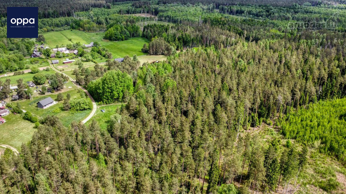 Parduodamas 1,60 Ha Žemės Ūkio Paskirties - nuotraukos Nr. 2