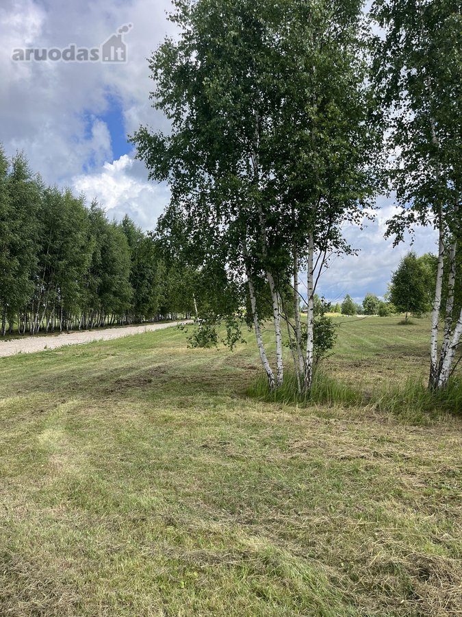 Parduodami 36 gyvenamosios paskirties sklypai - nuotraukos Nr. 5