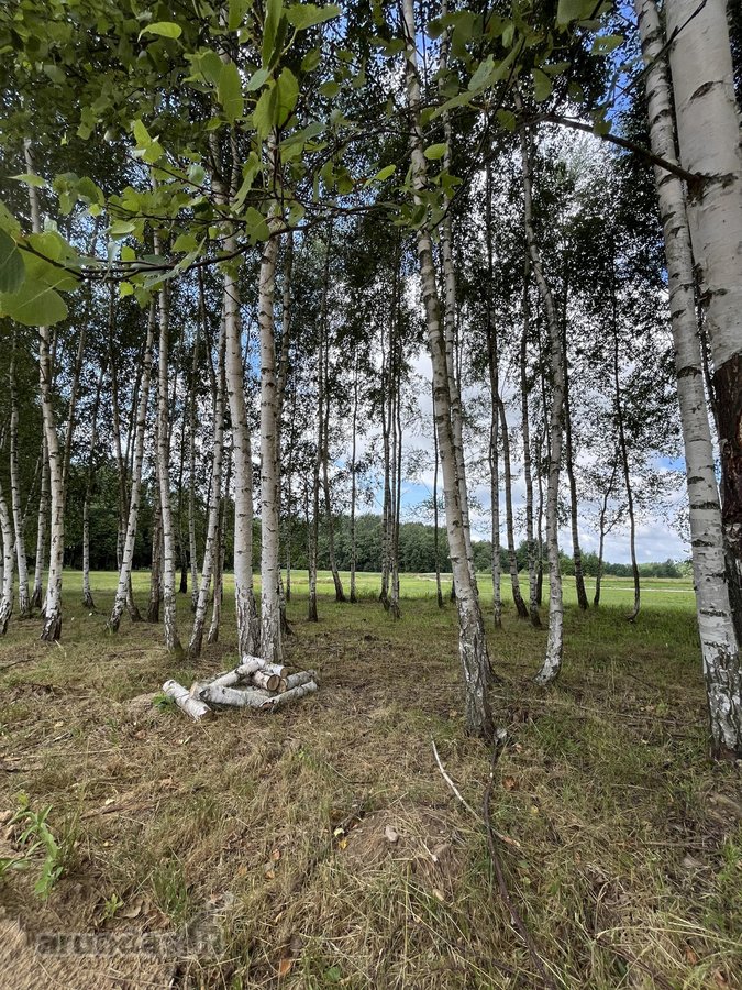 Parduodami 36 gyvenamosios paskirties sklypai - nuotraukos Nr. 9