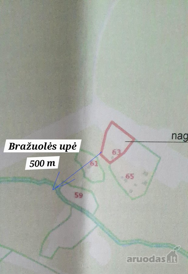 Namų valdos slypas, miške šalia Bražuolės - nuotraukos Nr. 5
