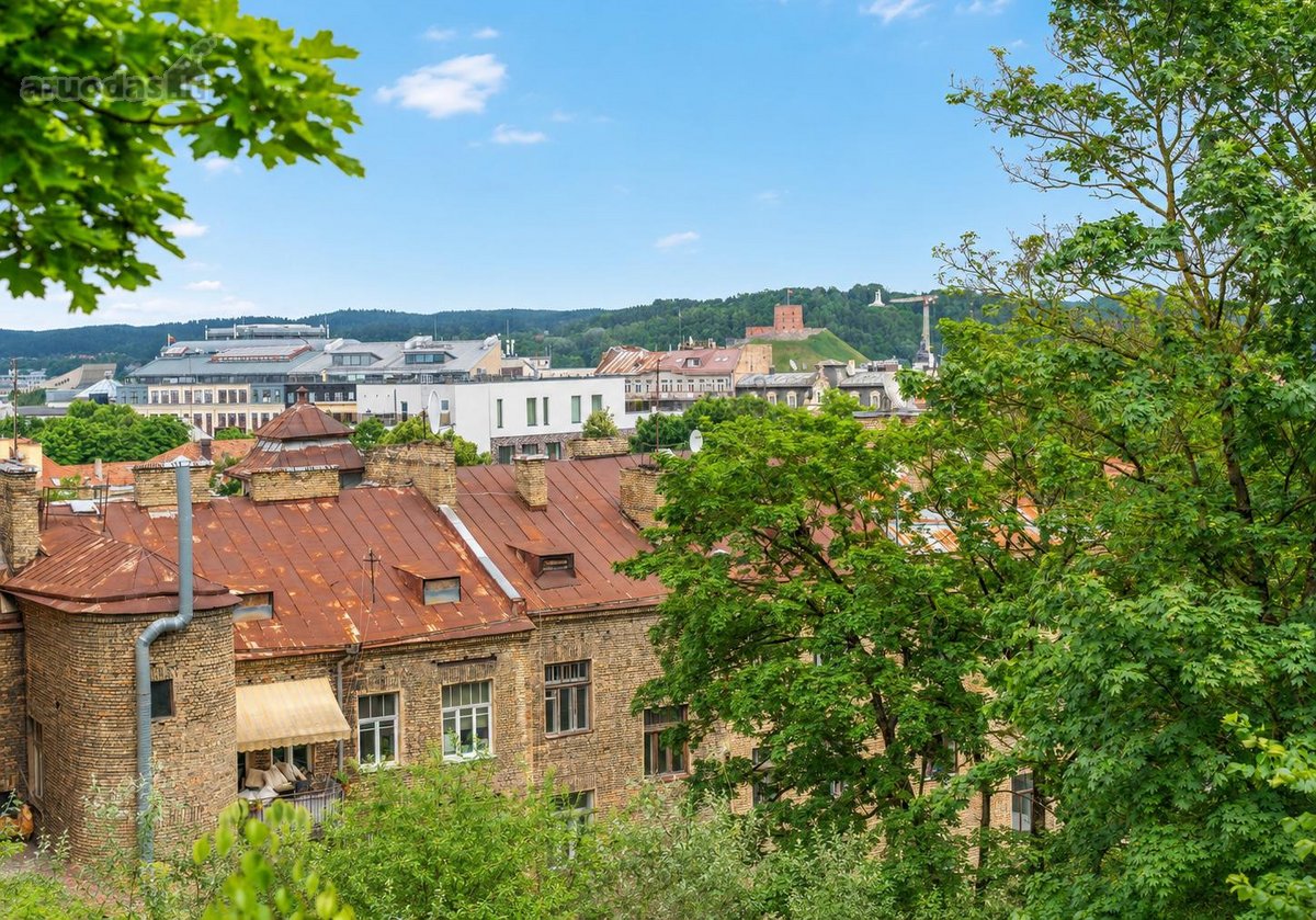 Parduodami Išskirtiniai Dviejų Lygių - nuotraukos Nr. 33
