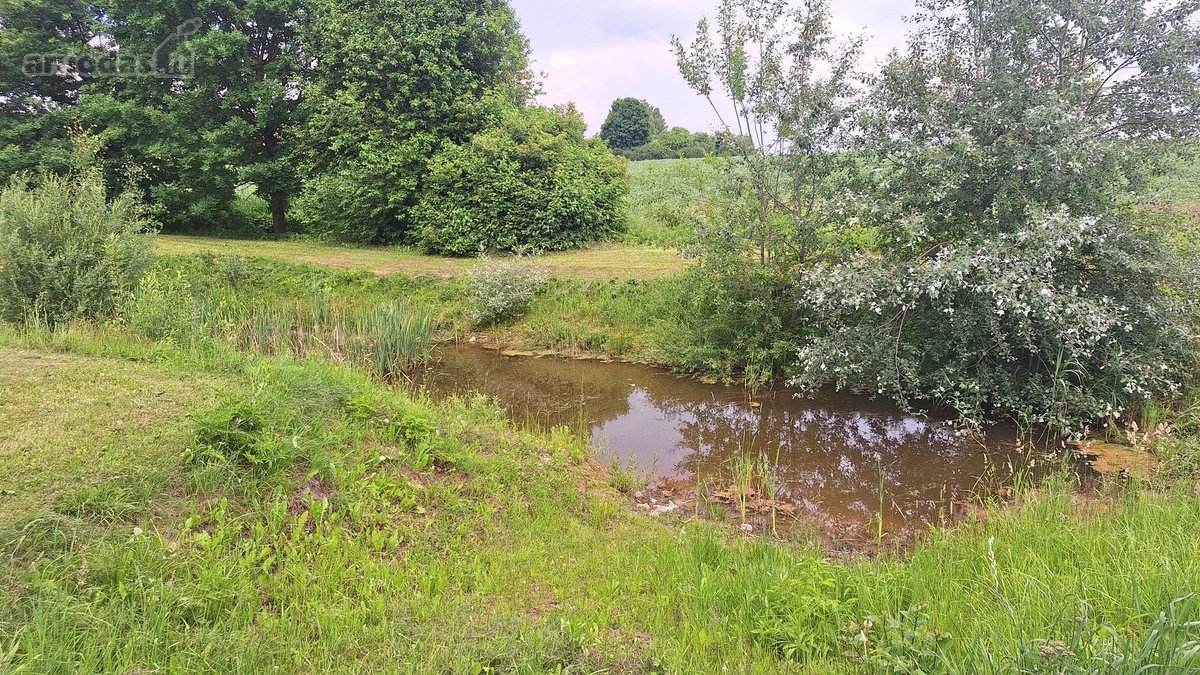 Parduodama Sodyba Gamtos Apsuptyje – - nuotraukos Nr. 20