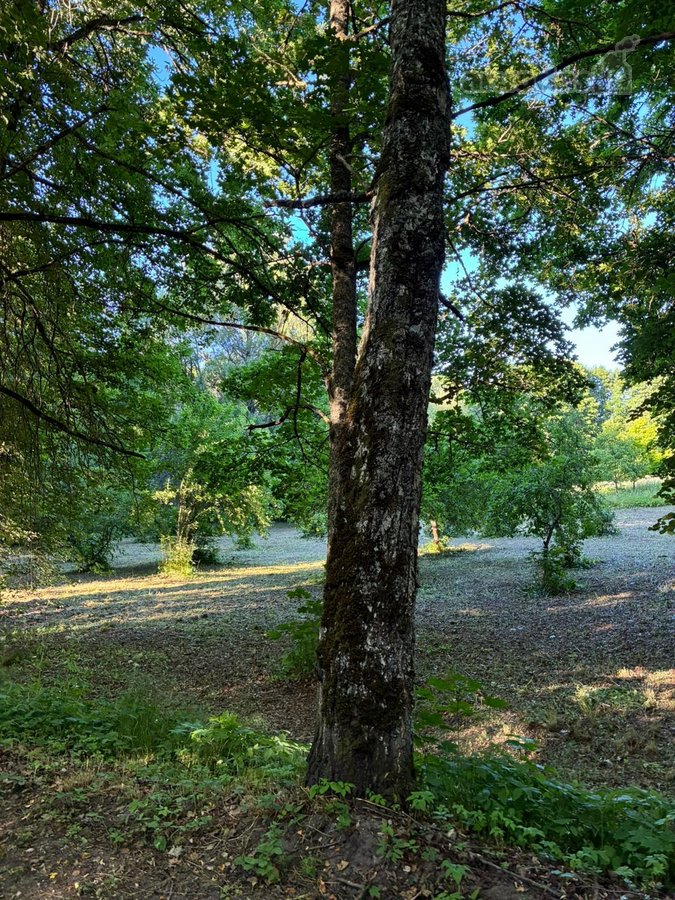 Parduodama išskirtinė sodyba istorinėje - nuotraukos Nr. 6